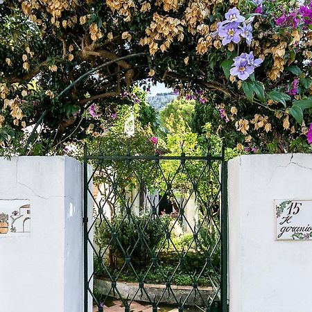 アナカプリ Il Geranio Bed & Breakfast エクステリア 写真